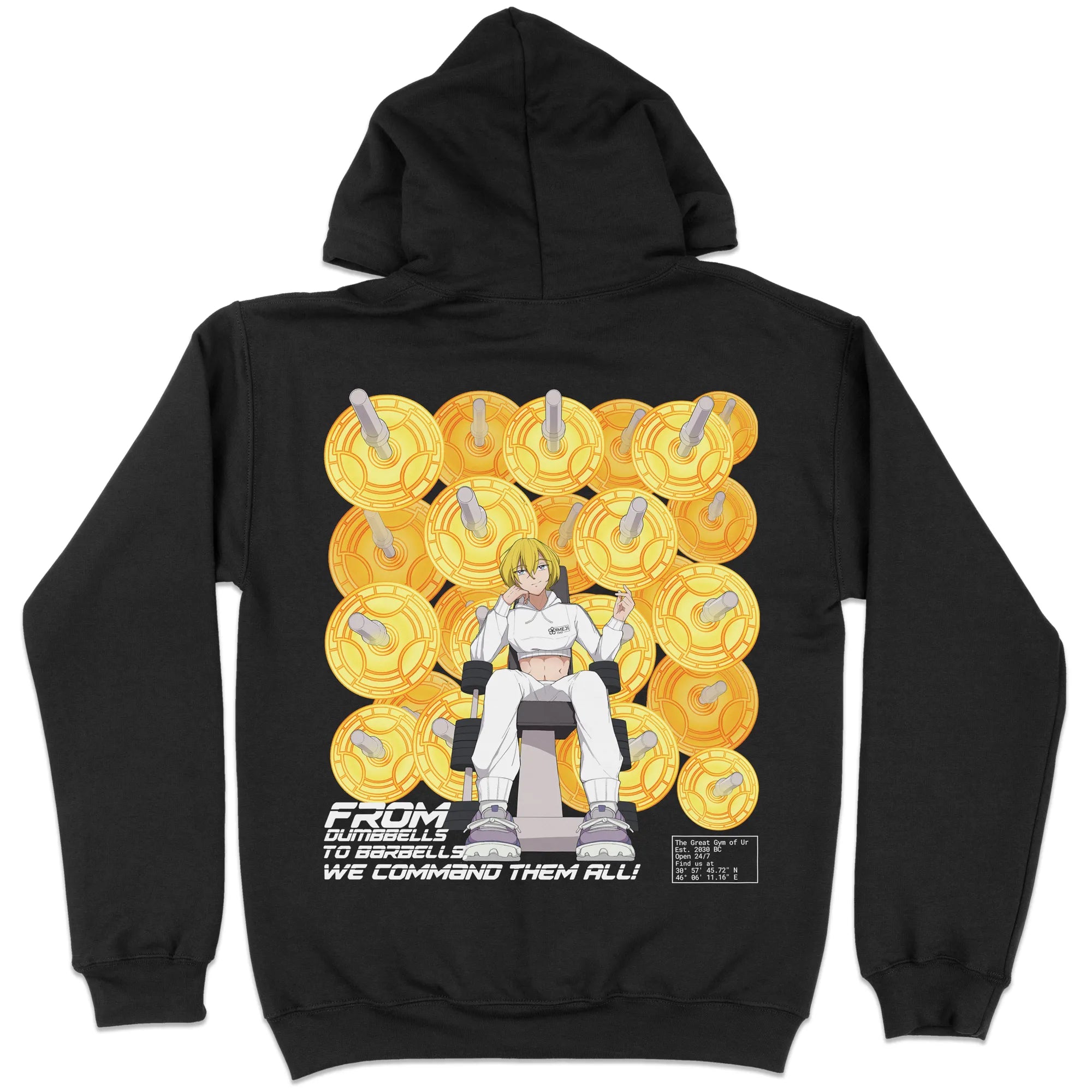 Gym of Babylon Noble Phantasm Gen2 [Backprint] // Hoodie